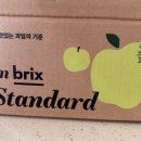 무지개쇼핑 | [내돈내산] 실패 없는 과일 쇼핑 '온브릭스' 정착 후기! 골드망고, 메론, 무지개망고 대성공 🍈🥭