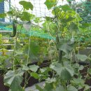 월성종합사회복지관 이미지