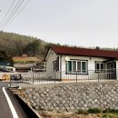 소옥경로당 Daum카페