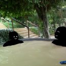 나트랑 12월 혼땀섬 현지여행사 1일 투어 후기 : 머드온천, 뷔페, 2인 패러세일링 진행