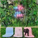 안성 내츄럴리조트 | 벚꽃 캠핑, 2년 만에 다녀온 캠핑 이야기[애견동반 캠핑장, 안성 내추럴리조트 캠핑장]