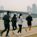 걷기 운동 실천 루틴 5가지 및 후기 - 취미로 걷기 시작해 다이어트를 얻은 직장인의 만보 팁