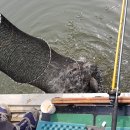 동방농장 이미지