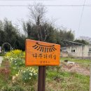 더마실 | (나주) 촌캉스 숙소 '더 마실' 후기