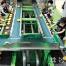 천안배원예농협 농산물산지유통센터 이미지