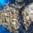 민우네바지락칼국수 이미지