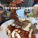 부부농장 | 청남대 근처 맛집 추천 <부부농장> (웨이팅 팁, 후기)