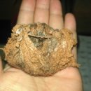 브리딩 팜 이미지