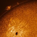 태양반점 이미지