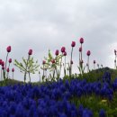 서측공설운동장 이미지