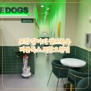 버블독스 | 포항 강아지 셀프목욕 버블독스 포항오천점 내돈내산