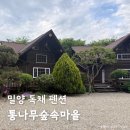 숲속통나무펜션 | 밀양 수영장 있는 독채 펜션 &#39;통나무숲속마을&#39;