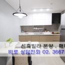 화이트빌 이미지