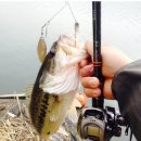 광신대교 이미지