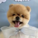 살롱드베베 이미지