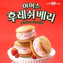 베리국 이미지