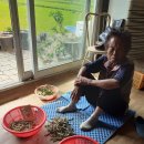 월산2리 이미지