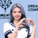 다미 이미지