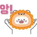 신박한보물창고 이미지
