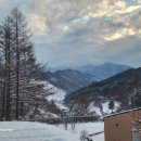 초록산마루농장 이미지