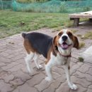 봉다리농장 이미지