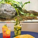 부천목장 | 부천식물카페 대형베이커리 테라스 감성 카페, 에이프