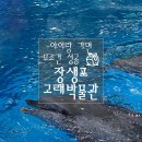 11260-3-65-13 | 울산 장생포 고래박물관 아이랑 가볼 만한 곳 (주차, 입장료, 후기 총정리)