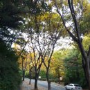 월평 사이클장 이미지