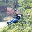 좌구산캠핑장 이미지