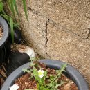 볏짚농장 이미지