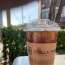 스텔라영