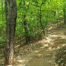 나무골 원두막 | 경기광주 군월산(376m)-군두레봉(380m)-오전리 연계 산행기