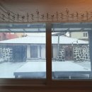 김녕한옥 용암정원 이미지