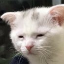 공방스테이 이미지