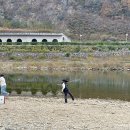 정선가축병원 | 1년 만에 다시 찾은 영월로의 생일 여행 #2