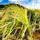 장동보건진료소 이미지