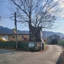 도곡15리 이미지