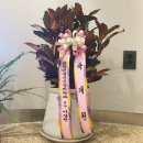 편한숲정신건강의학과의원 이미지