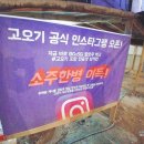 고오기