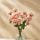 제주오다 이미지