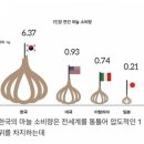 바디웰짐 네이버블로그