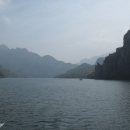 김성수행정사 이미지