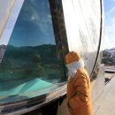 경강로/올림픽로 이미지