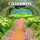 (주)대산우드랜드 - 홍성군 | 창원 대산플라워랜드 위치 주차장 입장료 6월 꽃구경 경남 가볼만한곳 추천