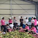 동부산농협 정관지점 이미지