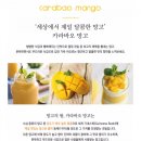 메가팜 | 망고계의 샤넬,메가팜 카라바오 생망고를 먹어봤어요 :)