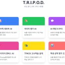 W.Games | 에듀테크 칼퇴 :: 지식샘터 수강 후기