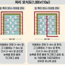 신광정공㈜ 앞 | 논둑에 던지는 점보제 던지기탄 콩알탄 &#34;황금볼점보&#34; 경농