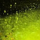 아동요리지도사 이미지