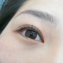 브로바이쥬 이미지